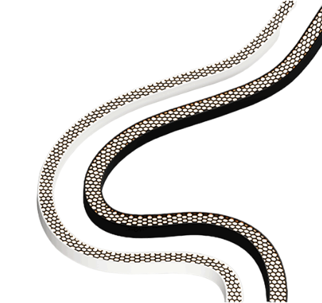 Led néon HC 2D & 3D