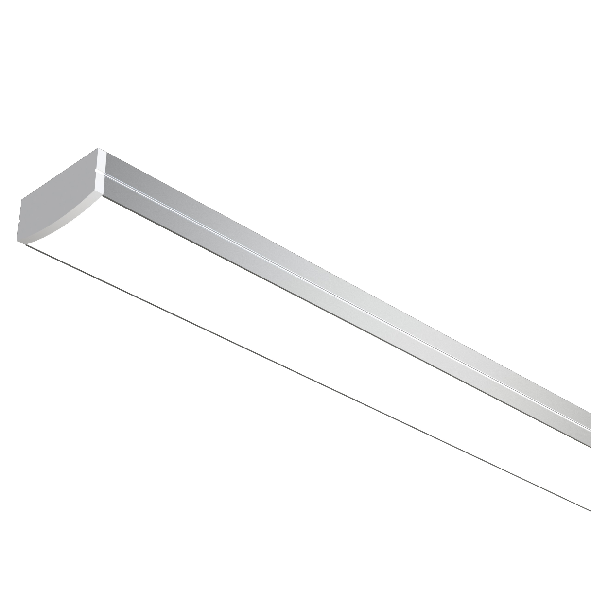 Alcor